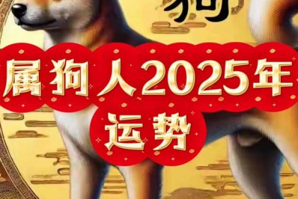 2025年属狗人穿什么颜色的衣服能提升运势？