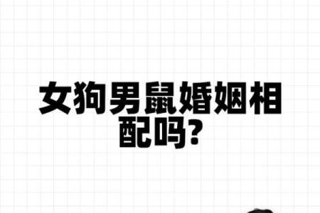 属狗的人和属狗的人结婚在性格上是否真的合适呢？