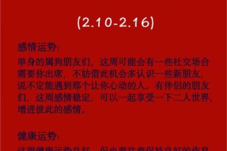 2025年属狗人全年每月运势如何？需要注意哪些重要事项和禁忌？