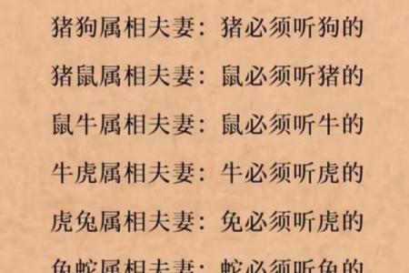 属狗男和属虎女结婚后的性格磨合需要注意哪些问题？