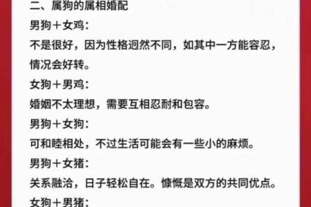 属狗的人和属牛的人在婚姻中是否相配，需要注意哪些方面？