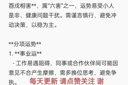 1994年出生的木狗命在2024年龙年的运势如何