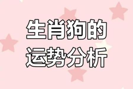 70年出生属狗者2025年运程大揭秘，每月运势走向及得把眼睛擦亮了完整版