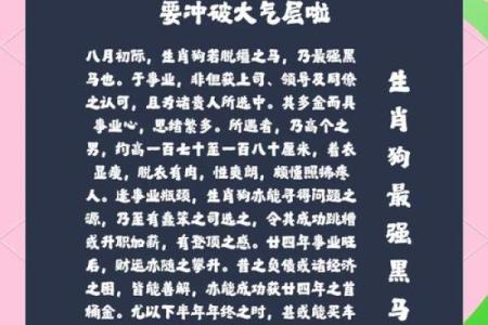 2025年属狗女性全年运势1982年出生每月财运健康感情运解析
