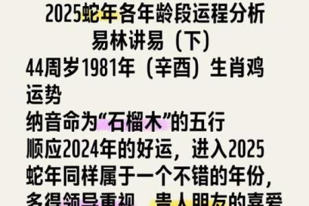 1993年出生属鸡者2025年幸运色和忌讳颜色有哪些