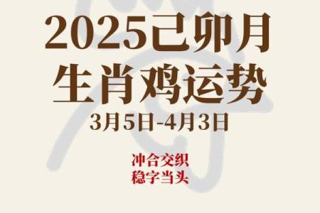 1993年出生属鸡者2024年每月运势预测，事业财运健康分析