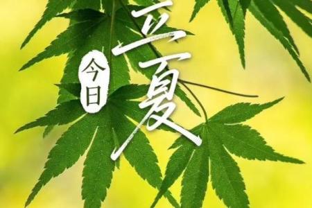2021年立夏节气具体是几月几号几点几分开始？