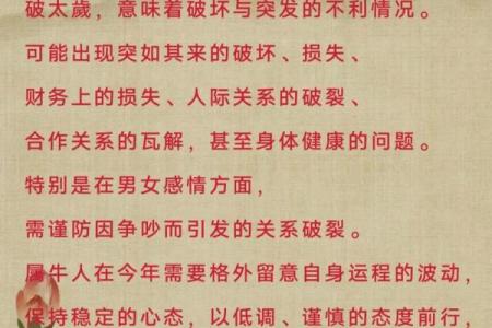 属龙女性在2025年犯太岁期间应避免做什么重大决定？