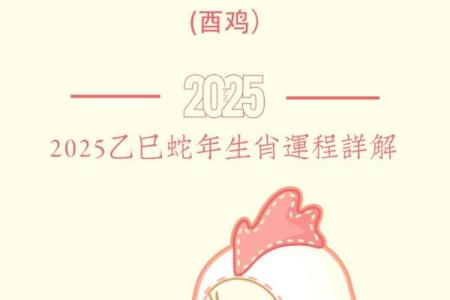 2025年属鸡人的幸运色和忌讳颜色分别有哪些讲究？