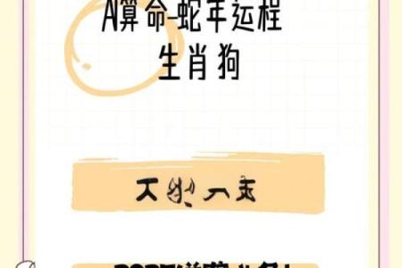 属狗的人2023年整体运势如何财运方面会有大的突破吗