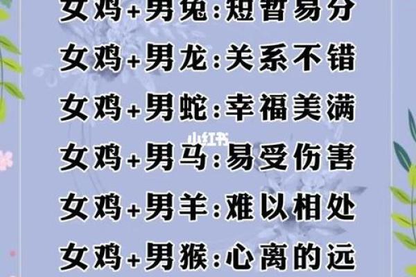 2006年属狗的和什么属相最配？最佳婚配属相详细解析