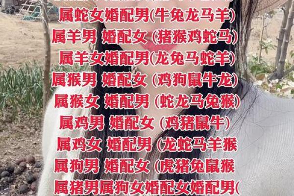 2006年属狗的和什么属相最配？最佳婚配属相详细解析