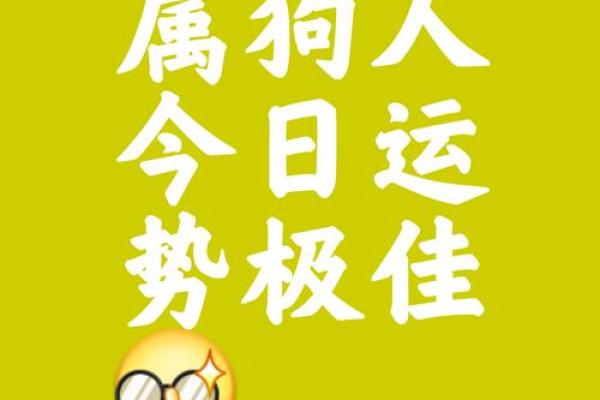 2006年属狗的人在2025年高考运势如何，能考上理想大学吗