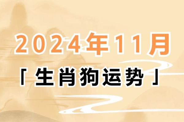 属狗的人2024年龙年全年运势详解，每月运程完整版分析
