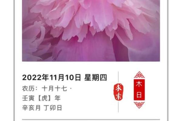 2022年五行穿衣每日指南 五行穿衣每日指南2022下载
