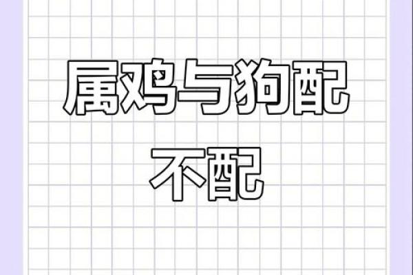 属狗和属鸡的婚姻配对是否相合，需要注意哪些方面？