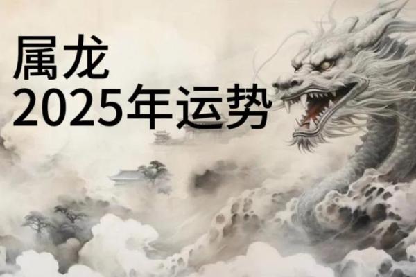 2025年属龙人全年运势如何？事业财运健康感情详细解析