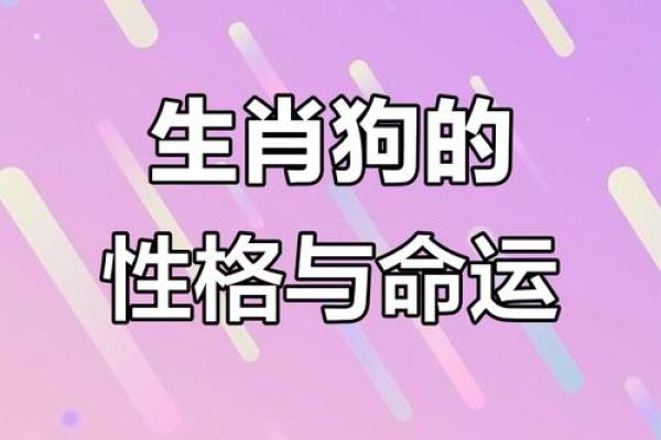2006年出生的属狗男孩婚姻与事业命运全解析，未来适合什么职业