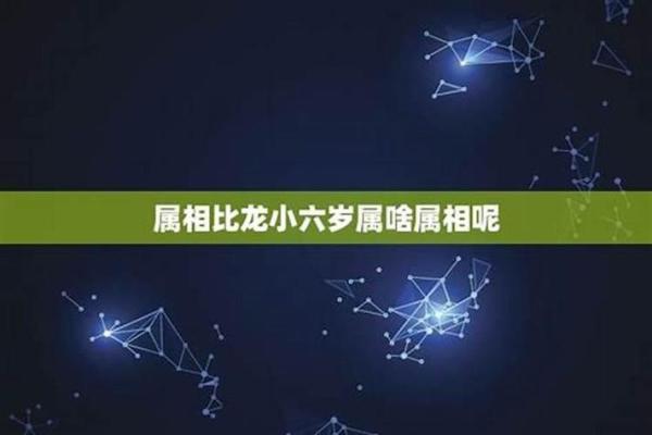 2005年出生属鸡的人，到2024年虚岁和周岁分别是多大？
