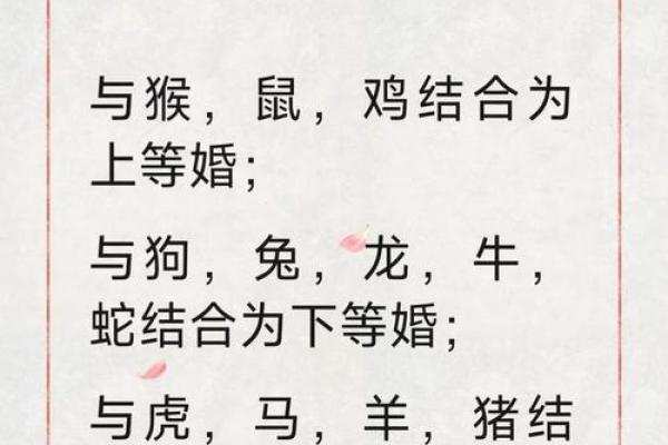 属龙者今日感情运势怎么样和伴侣相处要注意什么？