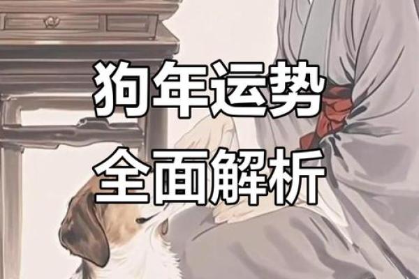 属狗人2025年运势详解：财运、事业、感情全方位预测