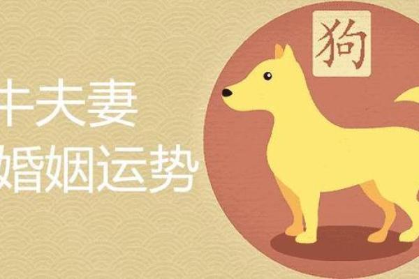 属狗男和属牛女的婚姻配对是否合适，性格和价值观能否和谐共处？