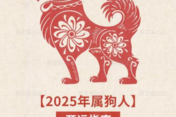 82年属狗人2025年运势详解全年运程完整版
