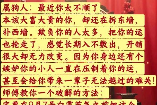 1982年1月出生生肖属狗还是属鸡？农历新年分界点解析