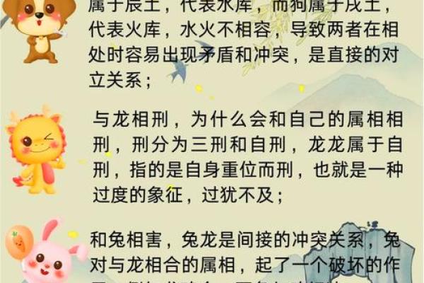 2022年2月24日五行属什么生肖穿什么颜色旺运，高手技巧