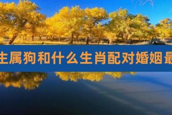 2006年属狗的人婚姻配对需要注意哪些生肖