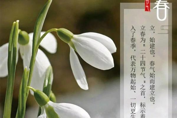 2019年立春的准确时间是什么时候？需要具体到分钟
