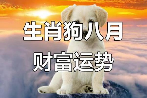 属狗女一生的财运和事业运势如何，有什么提升建议？