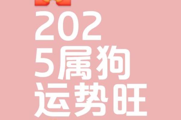 2006年属狗人2025年运势详解，学业健康财运全解析