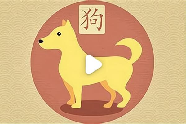 属虎和属狗的生肖配对适合结婚吗？性格与运势深度分析