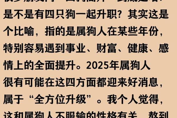 2025年生肖狗事业财运健康感情全方位运势解析