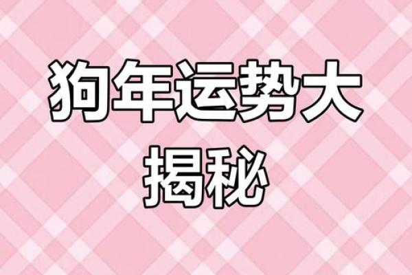 属狗今日财运如何有没有意外之财或者偏门收入
