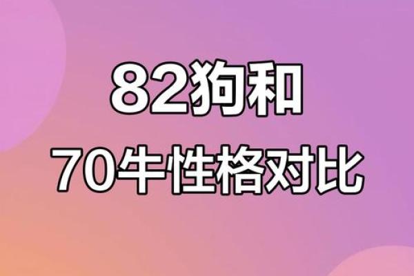 属狗男与属牛女结婚后的婚姻生活如何，需要注意哪些方面的问题？