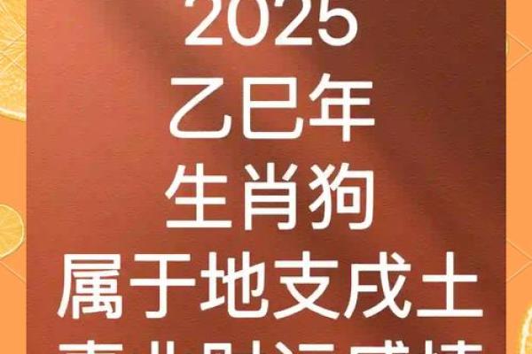 2025年属狗人全年运势详解：事业财运健康感情完整解析