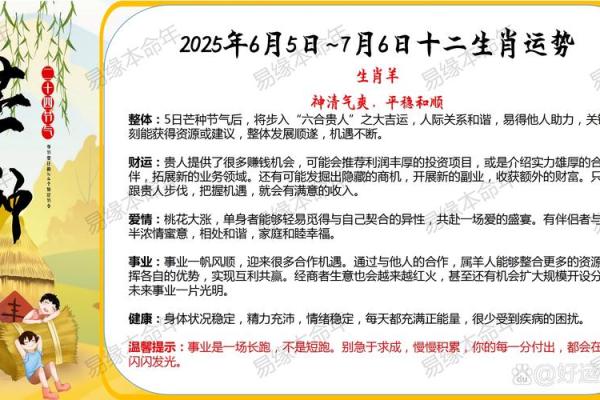 蛇年属狗人2025年运势详解：事业财运感情健康全面解析
