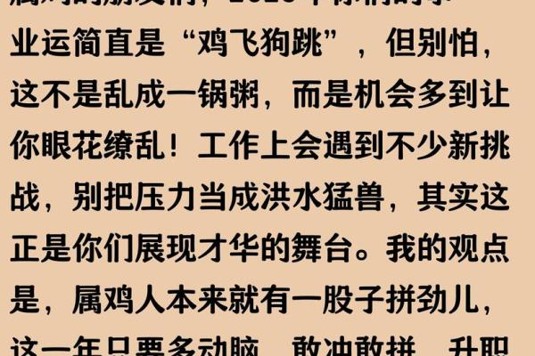 2025年属鸡人每月运程完整解析，事业财运健康感情全包括