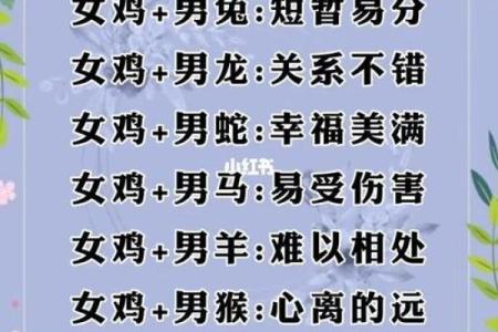 2006年属狗的和什么属相最配？最佳婚配属相详细解析