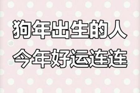 2006年属狗的人在2025年高考运势如何，能考上理想大学吗