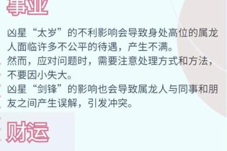 属狗的人2024年龙年全年运势详解，每月运程完整版分析