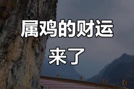 2025年属鸡人的财运如何，是否迎来发财好时机？