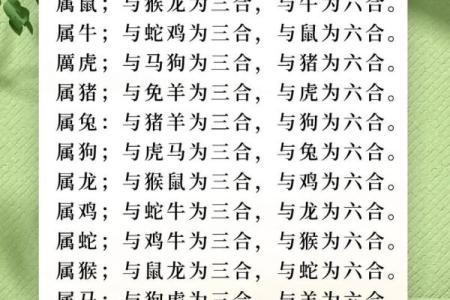 属狗和属鸡的婚姻配对是否相合，需要注意哪些方面？