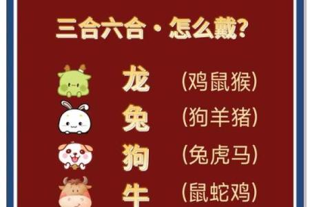 2025年属龙人全年运势如何？事业财运健康感情详细解析