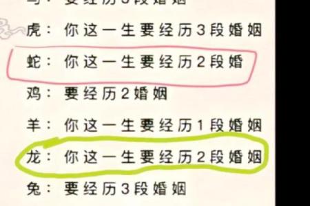 2006年出生的属狗男孩婚姻与事业命运全解析，未来适合什么职业