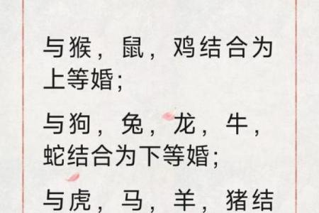属龙者今日感情运势怎么样和伴侣相处要注意什么？