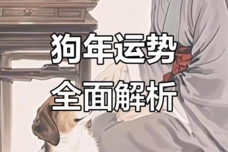 属狗人2025年运势详解：财运、事业、感情全方位预测