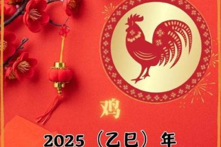 1981年出生的鸡男2025年全年运势如何？婚姻感情和事业运程分析